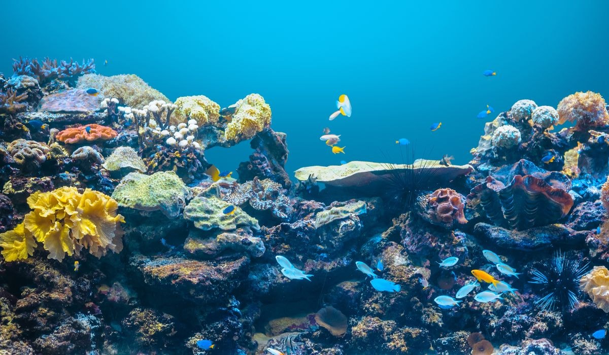 Marine Biology Innovations: 5 Breakthroughs (2026)