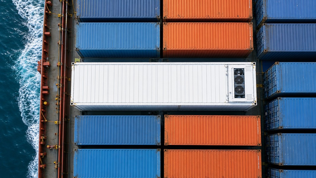 Reefer Container: What It Is and How It Works