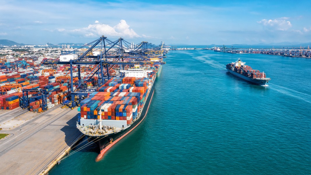 SeaRates Container Tracking: 7 Alternatives Compared